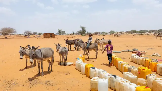 'Video thumbnail for Africa's healthcare faces crisis after Trump's aid cuts'