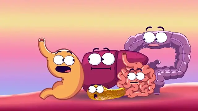 'Video thumbnail for Tu Cuerpo Quemando Calorías – Explicación Gráfica y Divertida'