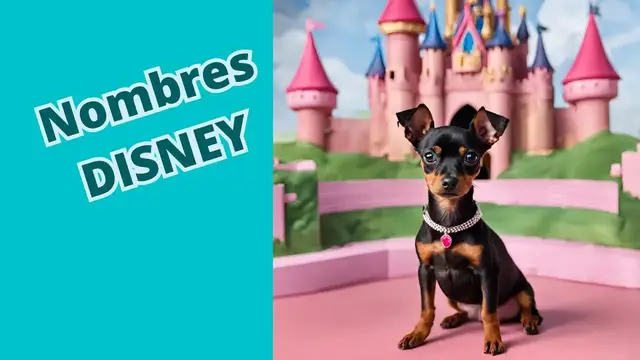 'Video thumbnail for 🐕 Nombres para perritos de personajes DISNEY  ❤️ #minipinscher'