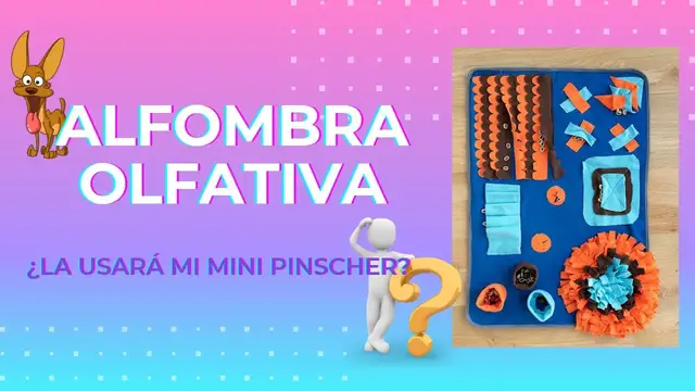 'Video thumbnail for Alfombra olfativa para mini pinscher. 🎉🎉 Juego, concentración, calma.'