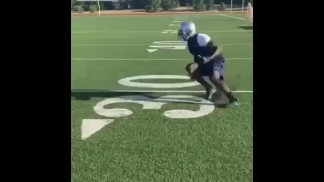 'Video thumbnail for law nation sports: dez bryant still got it! nfl comeback 2024?'