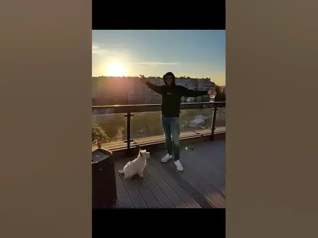 'Video thumbnail for ☀️ Nevada the Westie: Rooftop Fun, Melon Treats & Playful Pauses 🐾'