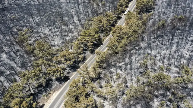 'Video thumbnail for Frequent wildfires reshape Turkiye’s Aegean coast, threatening rural livelihoods and culture'