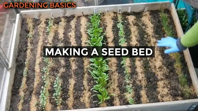 'Video thumbnail for Incredibly Easy Cat Proof Seed Bed | Self Sufficient Vegetable Gardening for Beginners'