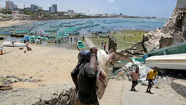 'Video thumbnail for Somalis call Trump's travel ban discriminatory'