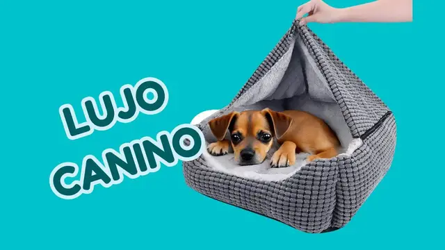 'Video thumbnail for 🐕Cama super cómoda para pinscher miniatura   ❤️'