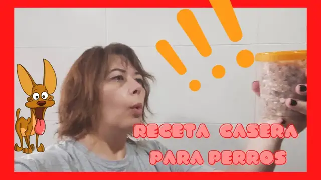 'Video thumbnail for Receta de comida casera para mini pincher 隆Truco para cocinar una vez y tener siempre a punto!'
