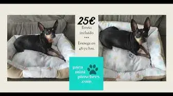 'Video thumbnail for 🐕🐕 Oferta cama para mini pinscher. ✅✅ Cómoda cuna para perros mini'