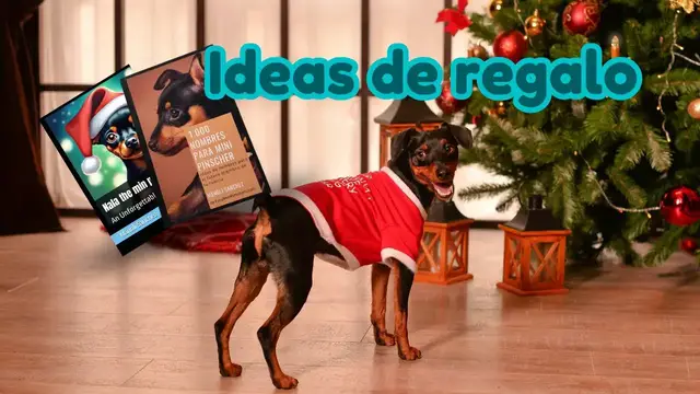 'Video thumbnail for 🐕Cuento infantil con MINI PINSCHER   ❤️'