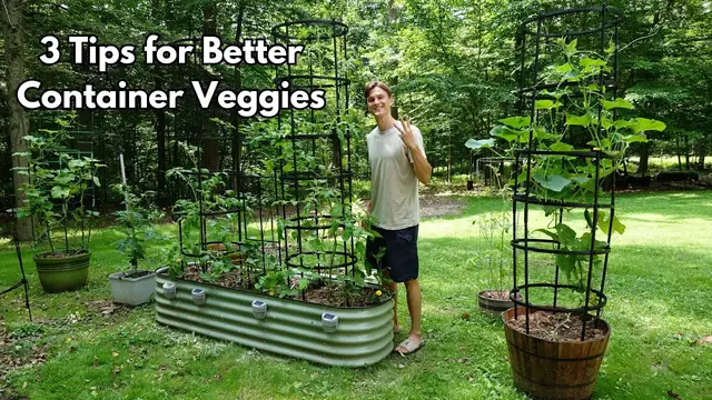 'Video thumbnail for 3 Tips for Container Grown Veggies - Easier Care & Better Harvest'