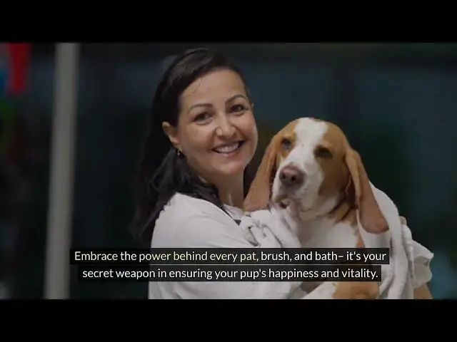 'Video thumbnail for The Dog House Grooming: Unleashing the Secrets to a Happy, Healthy Pup'