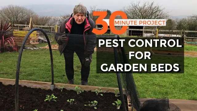 'Video thumbnail for EASY Garden Pest Control | Netting Tunnel | Half hour gardening project'