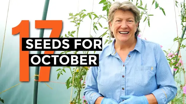 'Video thumbnail for What to sow in October | Veggie seeds for October | Self-sufficient vegetable garden'