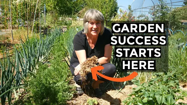 'Video thumbnail for Mulch | Grow Better Food with Less Effort and Less Watering (2020)'