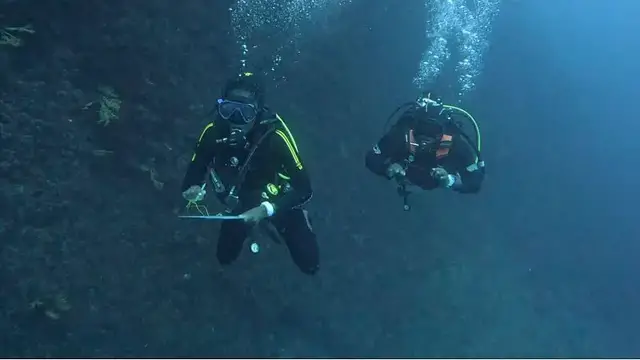 'Video thumbnail for Cameroonian marine conservationists trained as scientific divers'