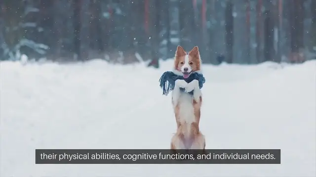 'Video thumbnail for Training Senior Dogs'