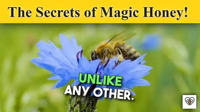 'Video thumbnail for Unveiling the Mystique: Discovering the Secrets of Magic Honey'