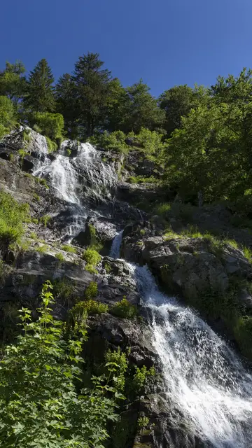 'Video thumbnail for Todtnauer Wasserfälle im Hochschwarzwald'