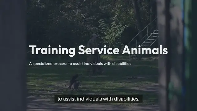 'Video thumbnail for Training Service Animals'