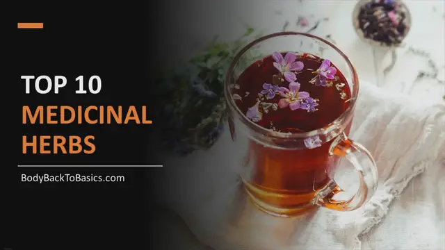 'Video thumbnail for Empower Yourself: Master the Art of Creating Your Own Natural Remedies with Medicinal Herbs at Home'