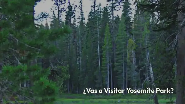 'Video thumbnail for 22 cosas que necesitas saber si vas a visitar Yosemite Park.'