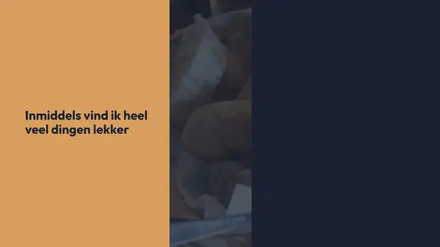 'Video thumbnail for Pannekoekbakkerij Houtlust'