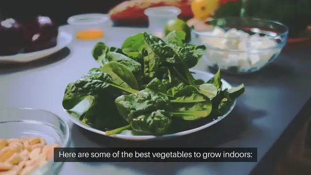 'Video thumbnail for Best Vegetables to Grow Indoors'