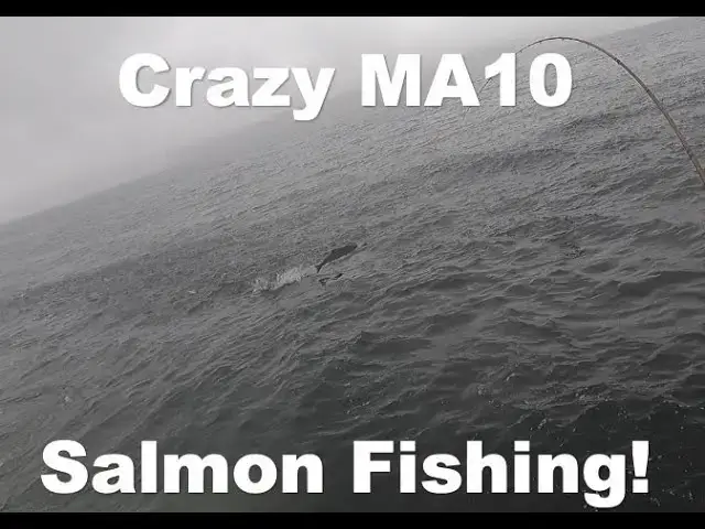 'Video thumbnail for MA10 Crazy Salmon Fishing!'