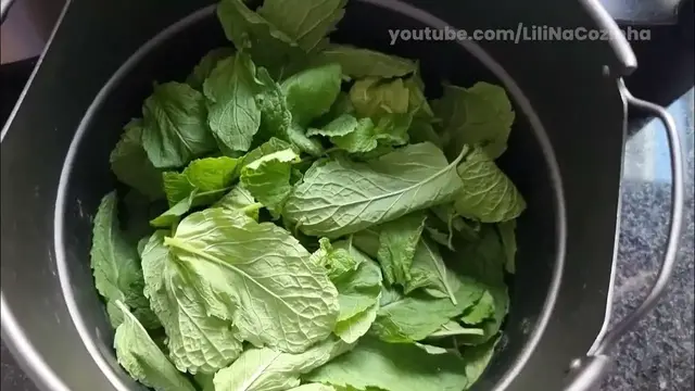 'Video thumbnail for Multi Cook Air Fryer Midea: desidratando hortelã para fazer chá'