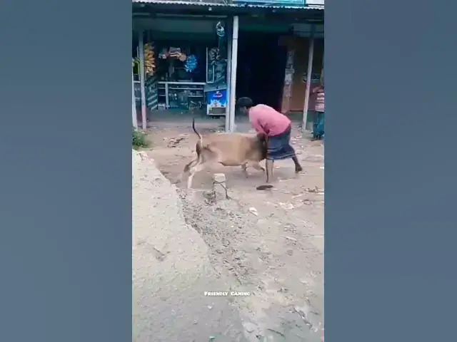 'Video thumbnail for #funny #comedy #humor #automobile #memes #meme'