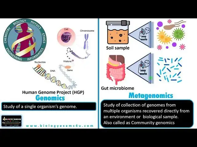 'Video thumbnail for Difference between Genomics and Metagenomics'