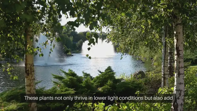 'Video thumbnail for Top Shade Loving Plants for Your Garden'