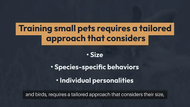 'Video thumbnail for Training Small Pets'