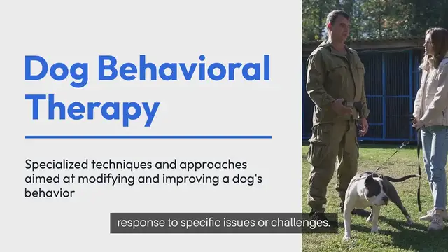 'Video thumbnail for Dog Behavioral Therapy'