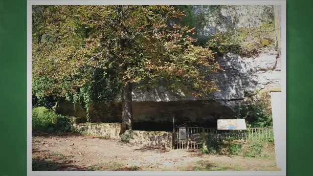 'Video thumbnail for Cro-Magnon and Neanderthal'