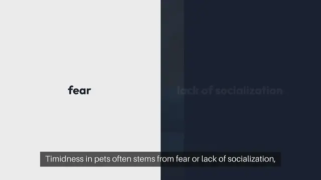 'Video thumbnail for Training Timid Pets'