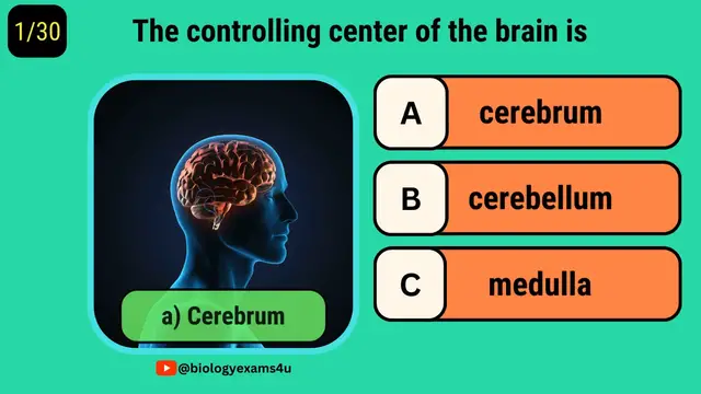 'Video thumbnail for Quiz on Nervous System || 30 Most Repeated Nervous System MCQ with answers'