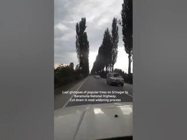 'Video thumbnail for Beautiful popular tress, around Srinagar-Baramulla National Highway Aug.2023'