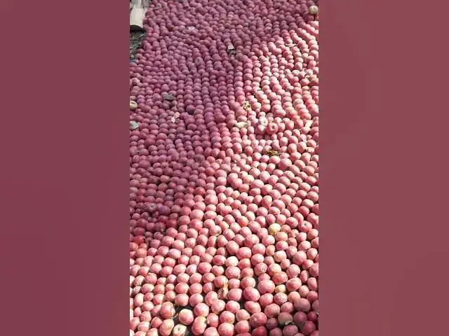 'Video thumbnail for kashmiri delicious apples..'