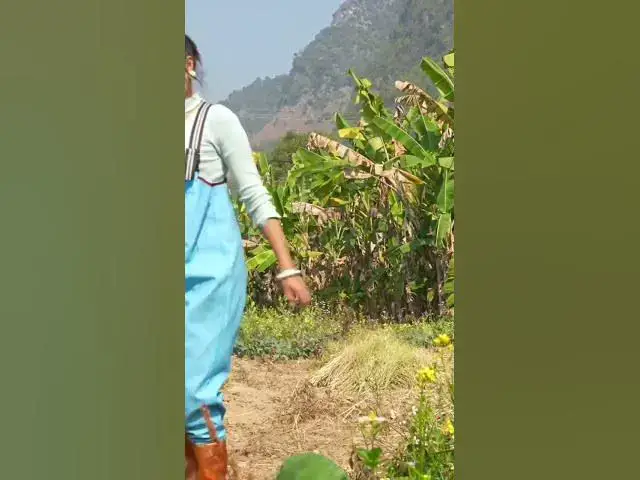 'Video thumbnail for #gold #goldhunter #jewelry #diamondgoldhunter #satisfying #treasurehunters #pearlhunter'