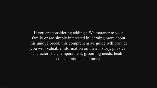 'Video thumbnail for Weimaraner Dog Breed Information & Characteristics'