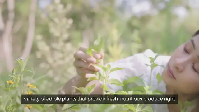 'Video thumbnail for Edible Plants For Home Gardening'