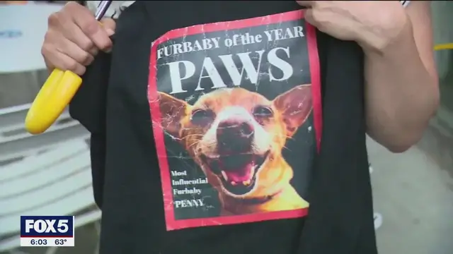 'Video thumbnail for Service dog attacked by pit bulls'