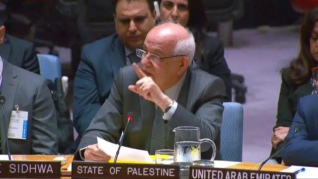 'Video thumbnail for At UNSC, Palestine envoy demands action: 'Stop dehumanising our people''