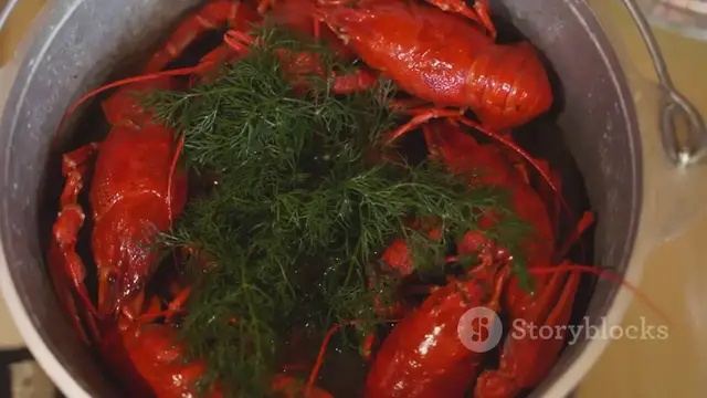 'Video thumbnail for How to Cook Live Lobster at Home – Easy Step-by-Step Guide for Perfect Results 2025-05-25'