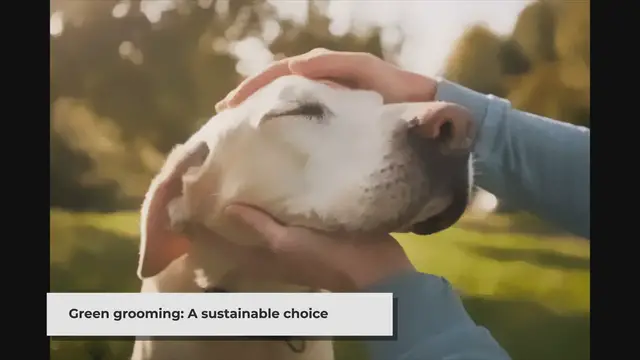 'Video thumbnail for Dog Grooming: Embracing Sustainability in Pet Care'