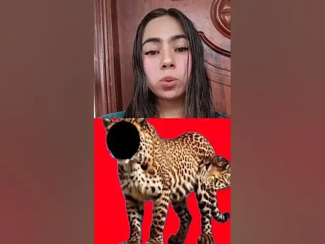 'Video thumbnail for Reto veloz #retosvirales #entretenimiento #relsviralシ'