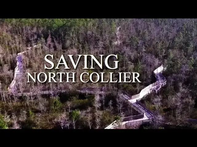 'Video thumbnail for Saving North Collier | Film By Cameron and Ben Galbraith'