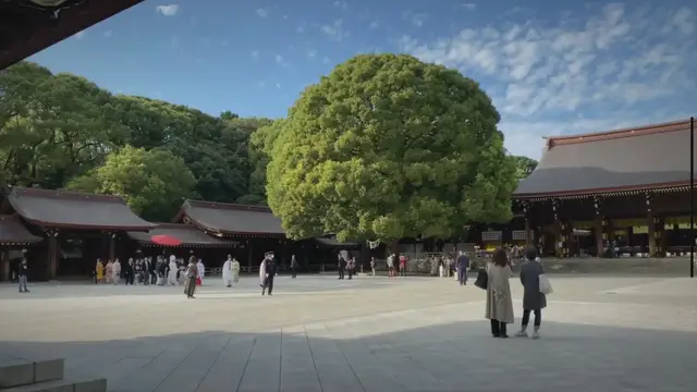 'Video thumbnail for 5 Must-Do Activities in Japan: A Traveler's Guide'