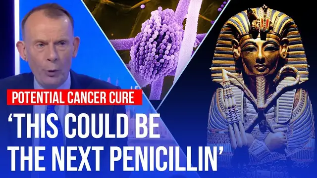 'Video thumbnail for How a 'deadly fungus' in Tutankhamun's tomb could be a cure for cancer | LBC'
